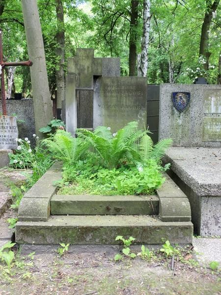 Zdjęcie grobu: Ludwik Jacobi