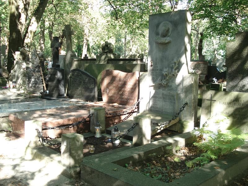 Zdjęcie grobu Wiktor Picewicz (1)