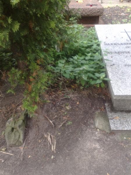 Zdjęcie grobu: Pole Grobowe