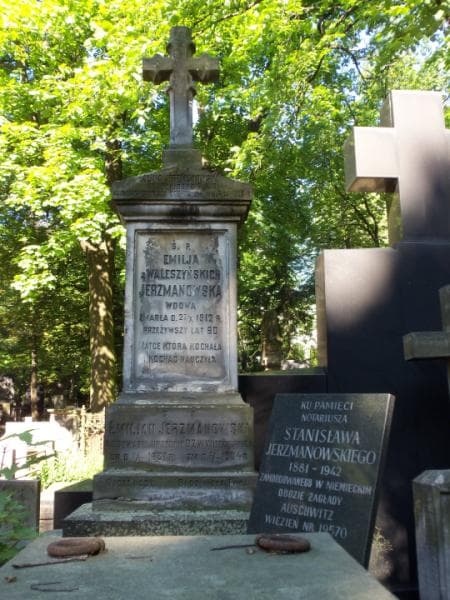 Zdjęcie grobu Alina Jerzmanowska (2)