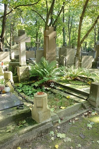 Zdjęcie grobu: Jan Lewandowski