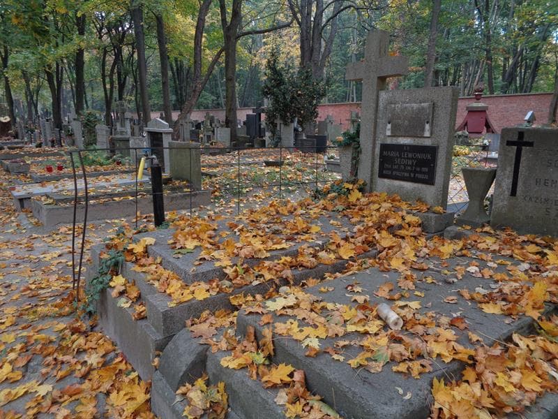 Zdjęcie grobu: Włodzimierz Sediwy