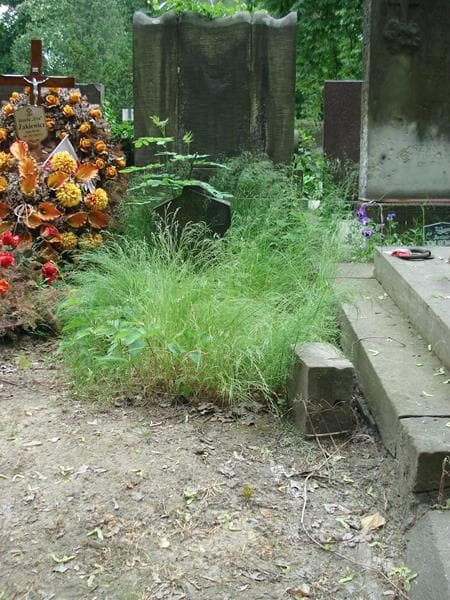 Zdjęcie grobu: Wacław Gołoński