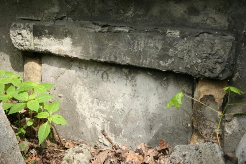 Zdjęcie grobu Apolonia Tarnowska (2)
