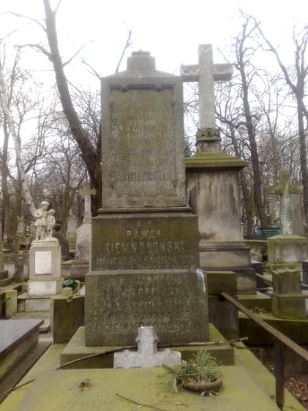 Zdjęcie grobu Gabryela Ciemnołońska (1)