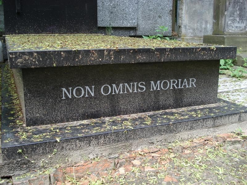 Zdjęcie grobu Anonim (2)
