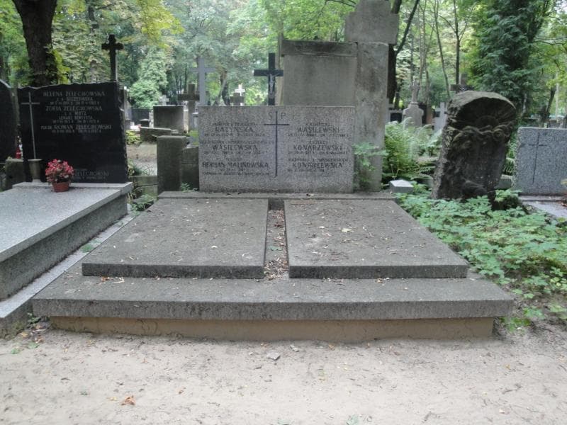 Zdjęcie grobu: Wanda Herman-Malinowska
