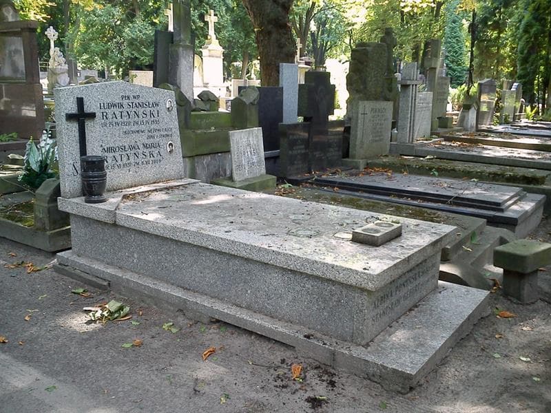 Zdjęcie grobu: Albina Ponińska