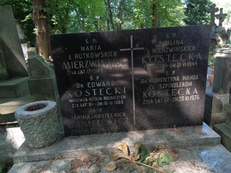 Zdjęcie grobu Janina Danielewicz (2)