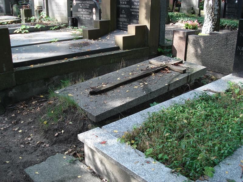 Zdjęcie grobu: Stanisław Jagodziński