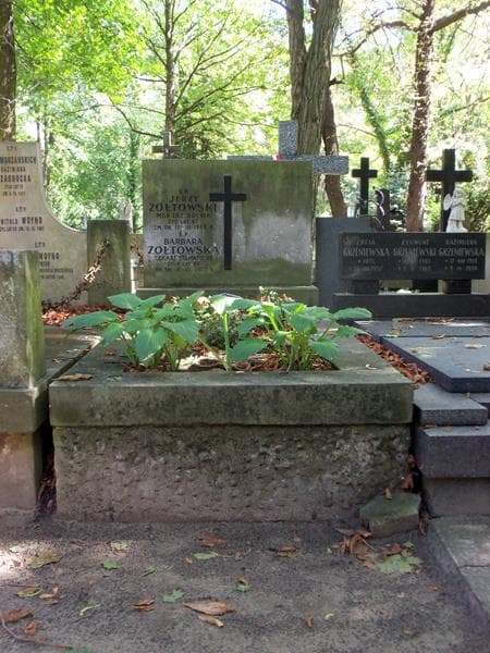 Zdjęcie grobu: Barbara Żółtowska