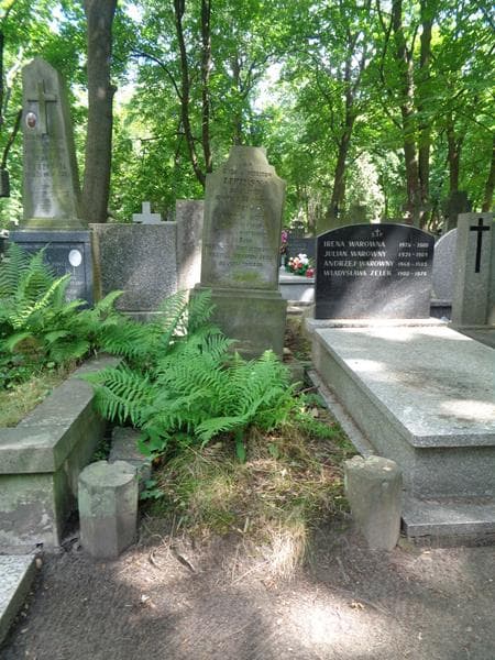 Zdjęcie grobu Eliza Lipińska (1)
