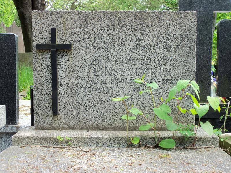 Zdjęcie grobu Stanisław Schmaltzman-Orski (2)