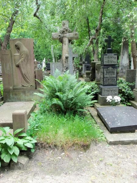 Zdjęcie grobu: Felix Bełczykiewicz