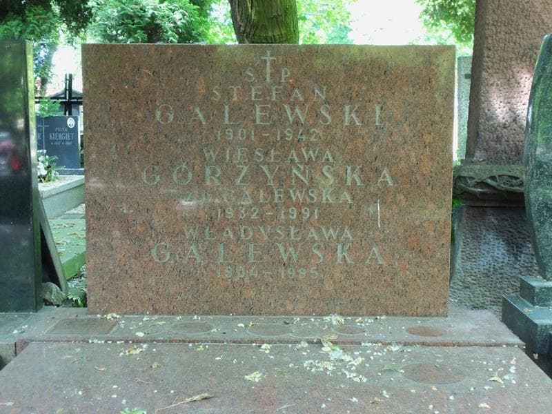 Zdjęcie grobu Wiesława Górzyńska (2)