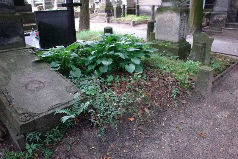 Zdjęcie grobu Pole Grobowe (1)
