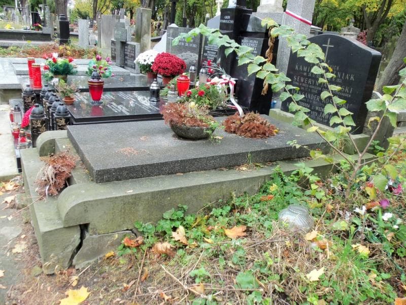 Zdjęcie grobu Seweryn Jaworski (1)