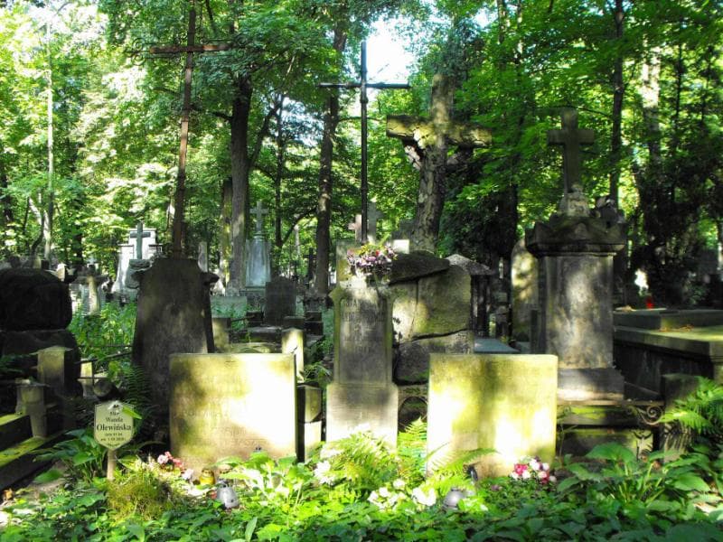 Zdjęcie grobu Apolonia Andruszkiewicz (2)