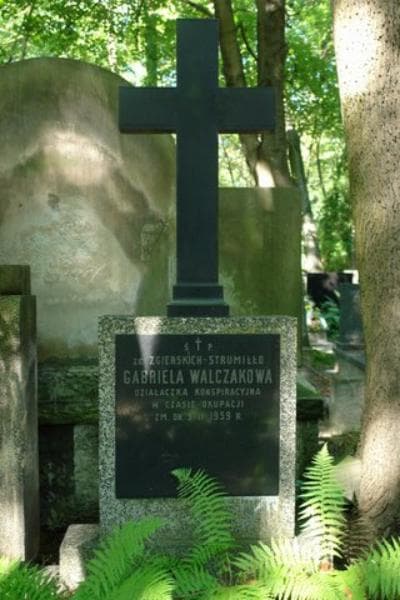 Zdjęcie grobu Henryk Walczak (2)
