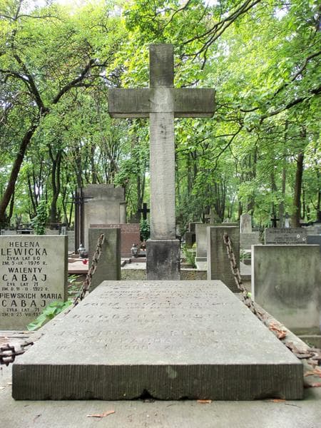 Zdjęcie grobu Zofia Goszczyńska (2)