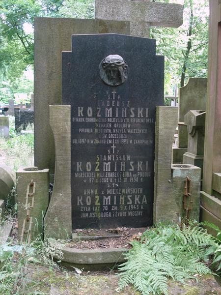 Zdjęcie grobu Anna Koźmińska (2)