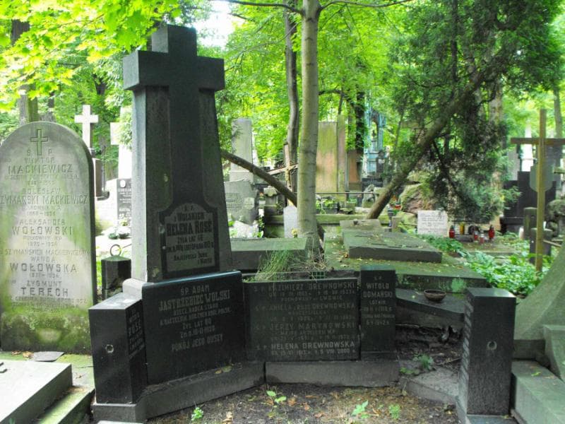 Zdjęcie grobu Helena Drewnowska (2)