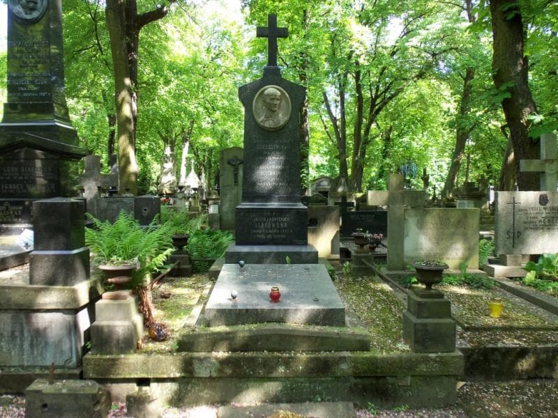 Zdjęcie grobu: Antonina Dellui
