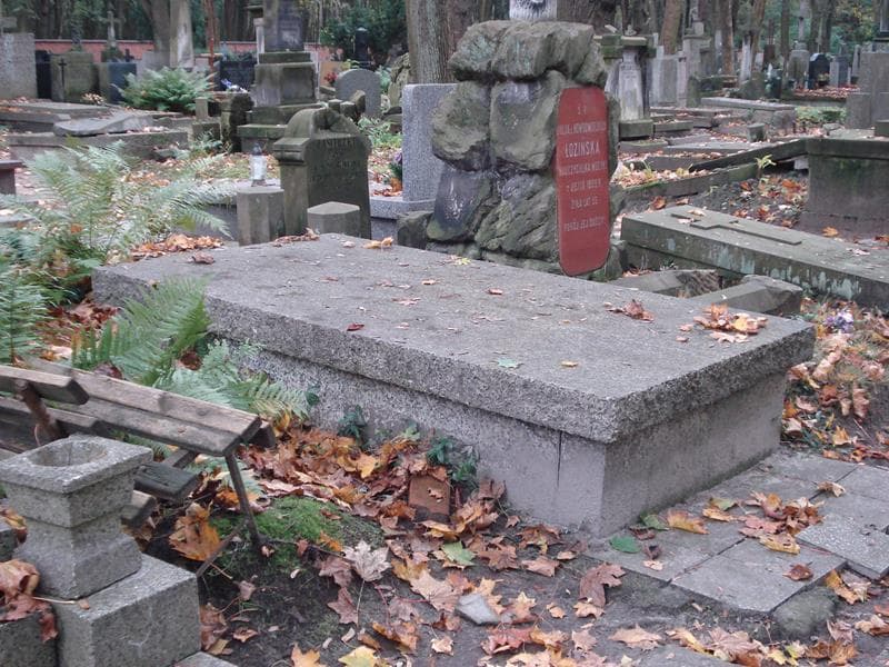 Zdjęcie grobu Zofia Dąbkowska (2)