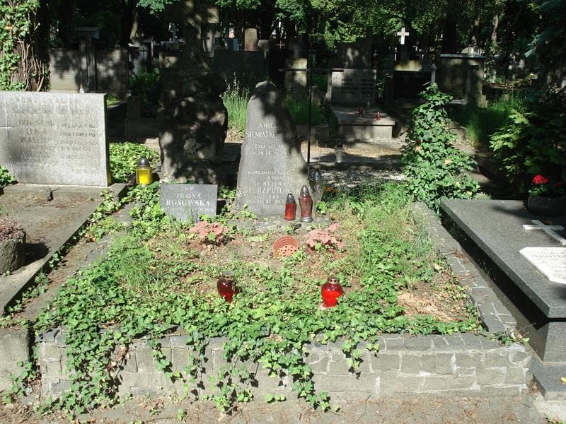 Zdjęcie grobu: Aniela Siemiątkowska