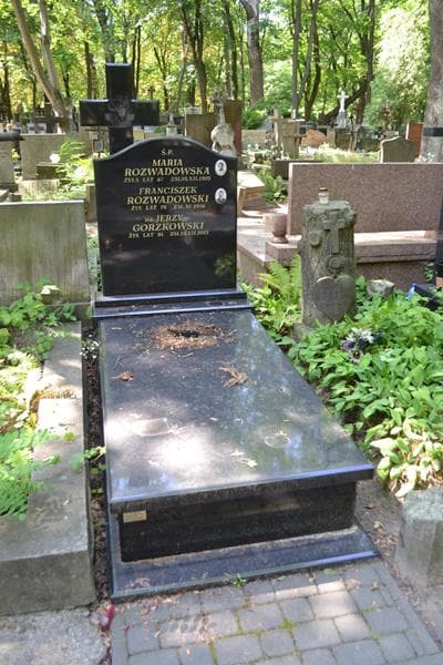 Zdjęcie grobu Jerzy Gorzkowski (1)