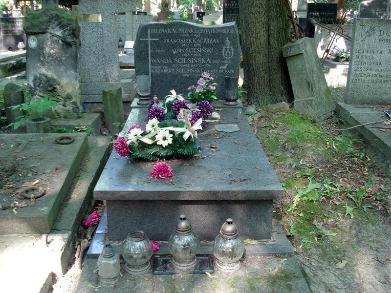 Zdjęcie grobu: Franciszek Kacprzak