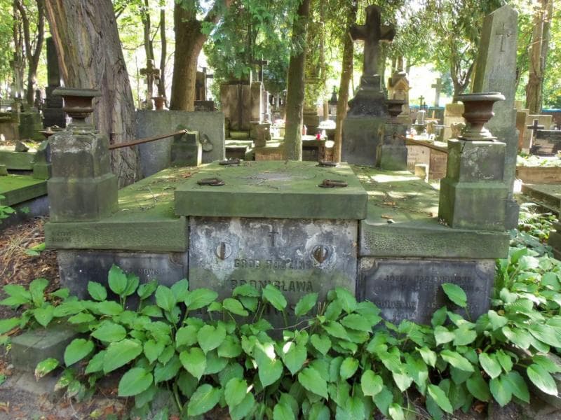 Zdjęcie grobu: Bronisław Taczanowski