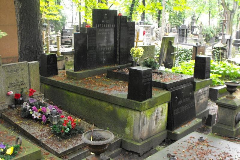 Zdjęcie grobu: Zygmunt Wasserab